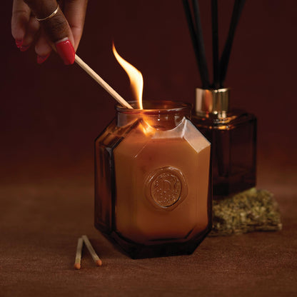 Paddywax Botanica Scented Candle with Lid in Reusable Embossed Glass Jar, Clean-Burn Soy Candle with Approx. 56 Hour Burn Time, Leather & Smoke, 8 oz