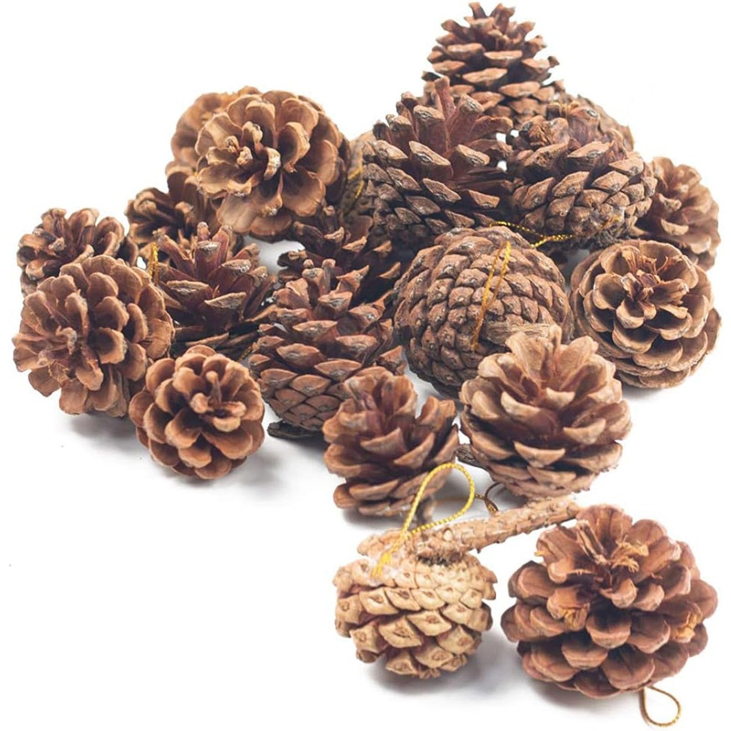 JOHOUSE 18PCS Hanging Natural Pine Cones (1.5"–2.5"), Rustic Pinecones with Strings for Fall Garland, Christmas Tree Ornaments, Wreath Making, Vase/Bowl Filler Winter Decor