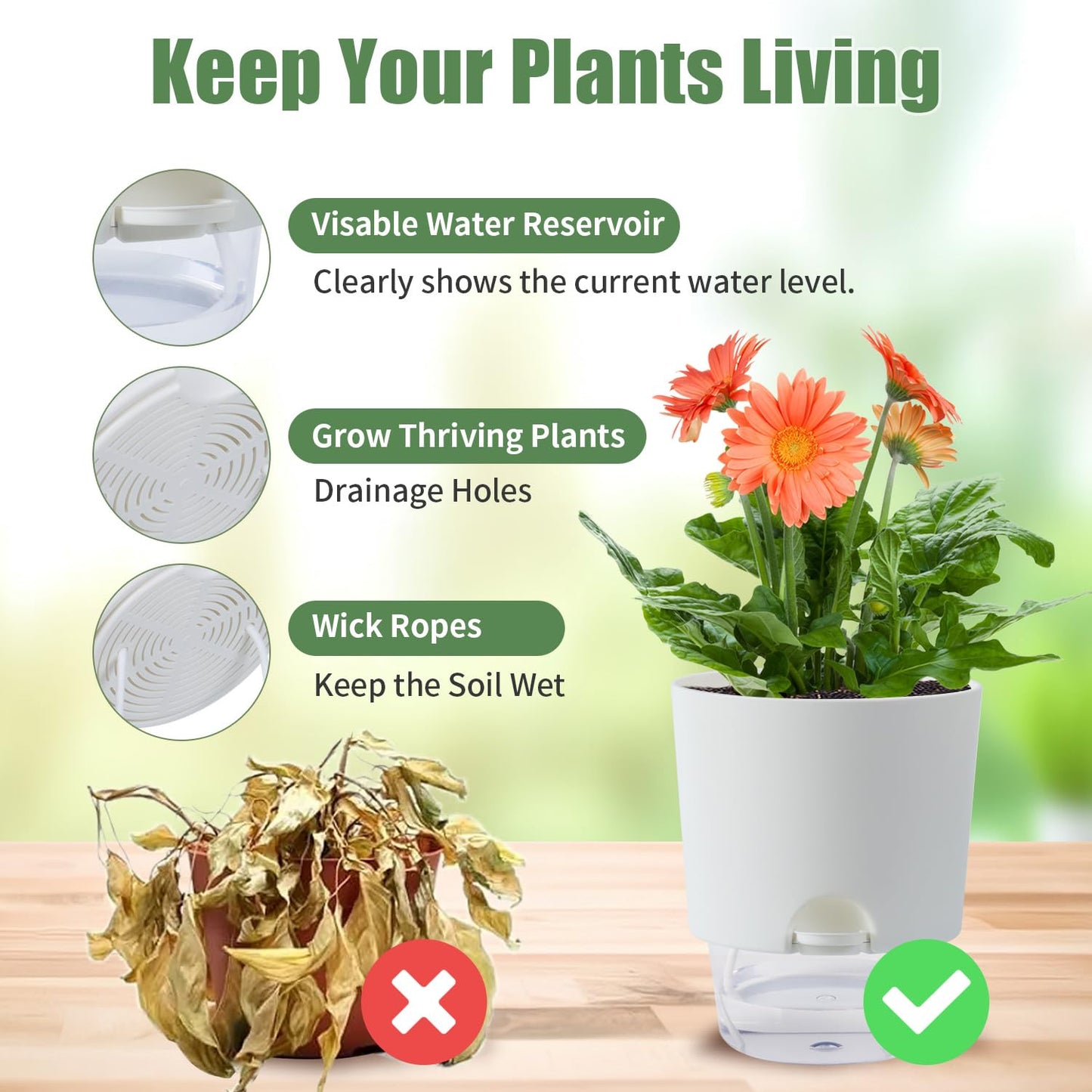 Oliz 6 Inch Self Watering Planter Pots for Indoor Plants, 3 Packs African Violet Pots with Wick Rope and Visible Reservoir Self Watering Planter for Herb, Houseplants