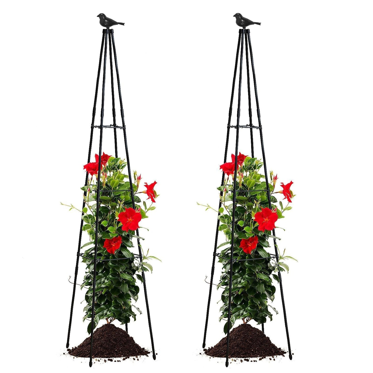 FOLLOOK Cucumber Trellis, 67" Tall Obelisk Garden Trellis for Climbing Plants Outdoor Plastic-Coated Metal Support for Flower Vine Vegetable Tomato Cage Cucumebr Trellis Raised Bed, Black, 2 Pack