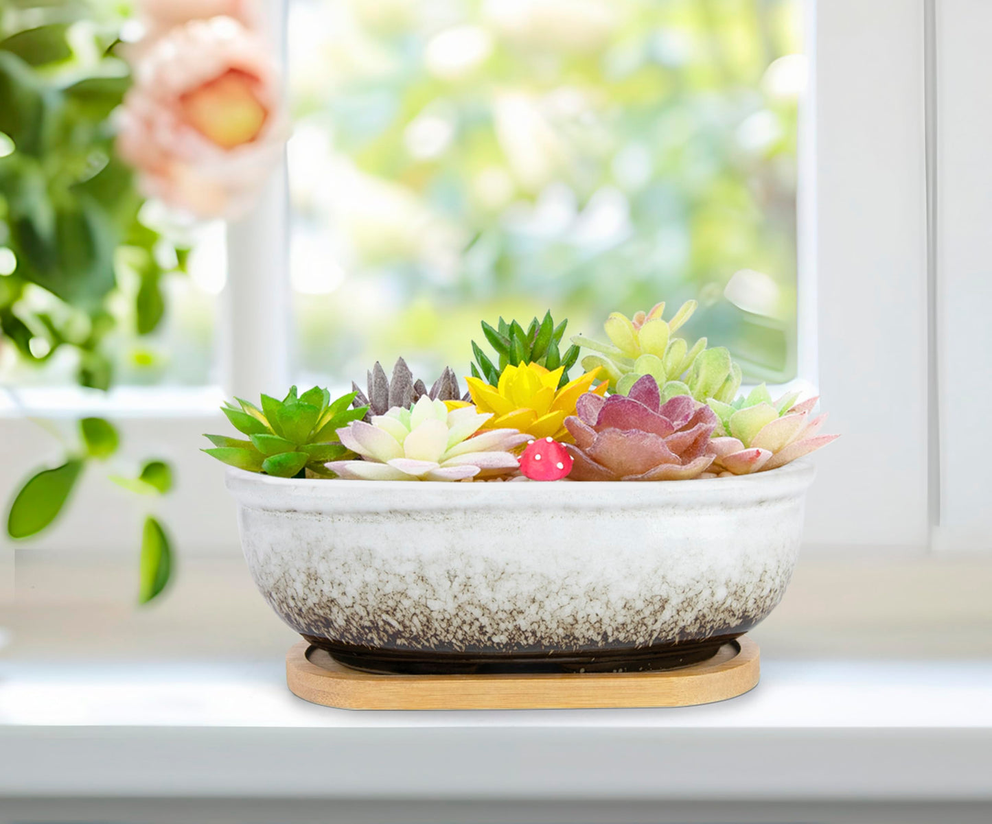 Succulent Pots, 1 Rectangle Planter + 1 Ceramic Bonsai Pot with Drain Tray, 2 Pack Large Shallow Succulent Planters for Indoor Plants, Round Cactus Flower Plant Pot for Desk Windowsill Decor