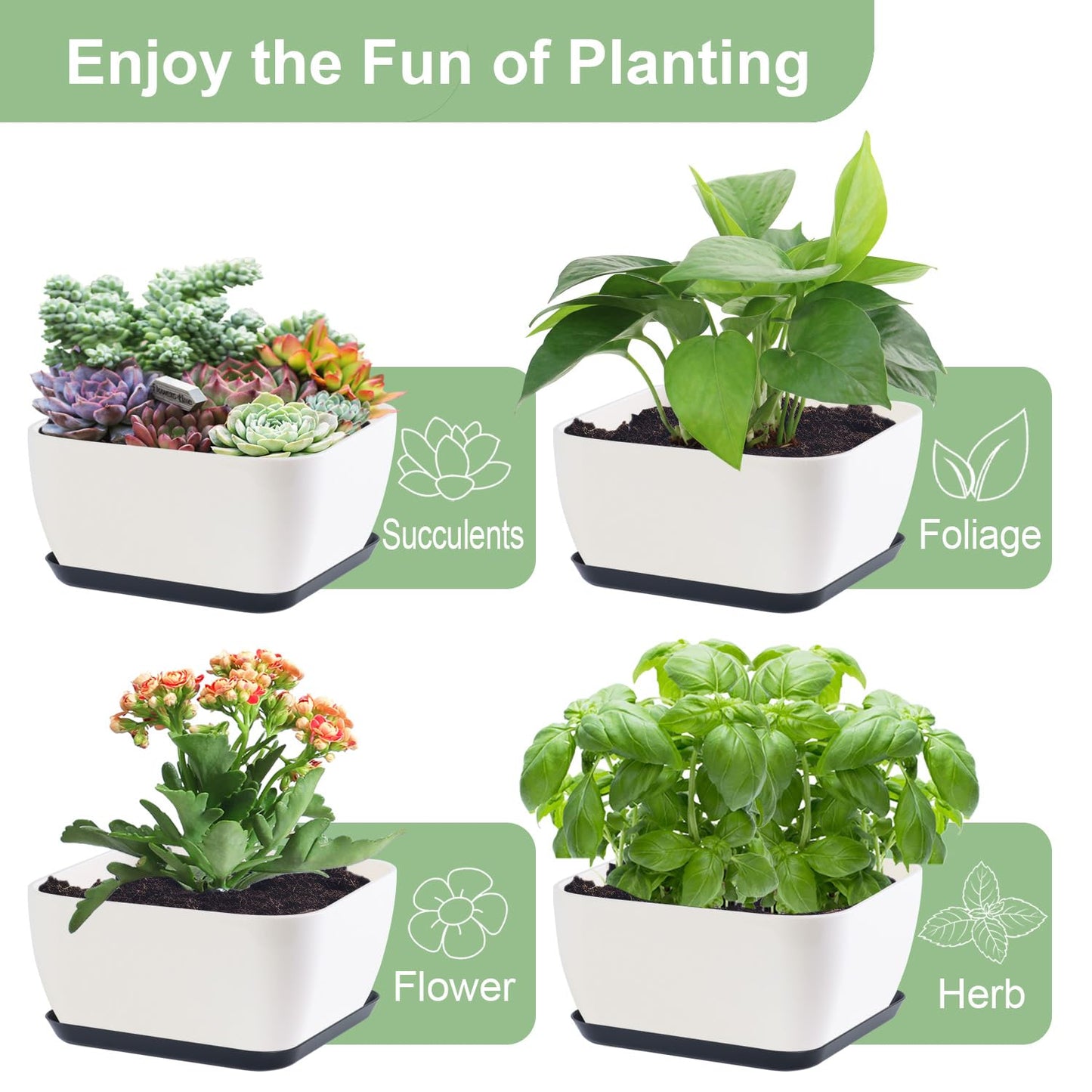 Succulent Pots 6 Inch Shallow Herb Planters with Drainage Hole - 8 Packs Cactus Planter for Home Office Garden Plants Pot Present - Plants Not Included (Off White)