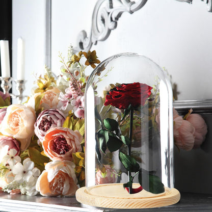 PATIKIL 3.9"x3.1" Clear Cloche Glass Dome, Glass Bell Jar Display Case Tabletop Centerpiece with Wooden Base for Plants Home Decor