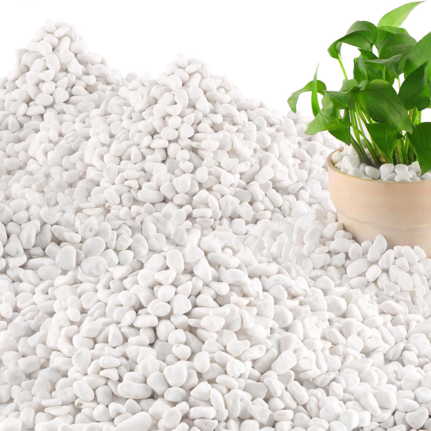 Mulctun 45LB Natural White Rocks, 1/4"-3/4" Garden River Rock,Decorative Pebbles Aquarium Gravel for Indoor Plants Garden Landscaping Terrarium Fish Tank and Outdoor Decoration