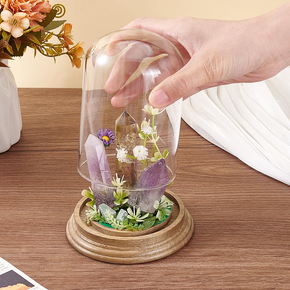 PH PandaHall 4.2" x 5.5" Glass Display Dome Cloche, Glass Dome Clear Bell Jar Display Case Tabletop Centerpiece with Solid Wood Base for DIY Snow Globes Flowers Plants Birthday Home Decor, Light Brown