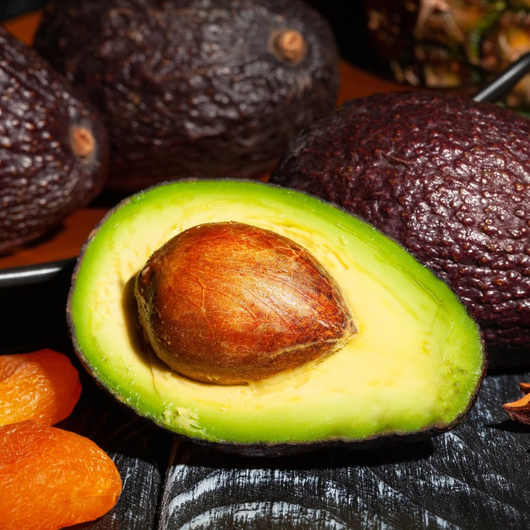 Live HASS Avocado Tree, Grafted Fruit Tree, 1-2 Feet Tall, Hardy Avocado Variety, Ready for Planting, No Ship to CA