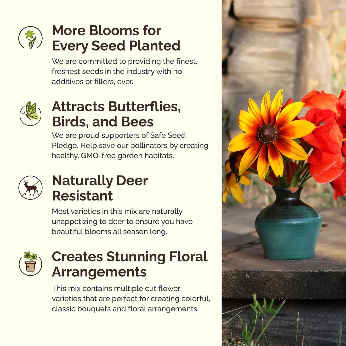 Eden Brothers Southeast Wildflower Mixed Seeds for Planting, 1/4 lb, 120,000+ Seeds with Cornflower, Blanket Flower | Attracts Pollinators, Plant in Spring or Fall, Zones 3, 4, 5, 6, 7, 8, 9, 10