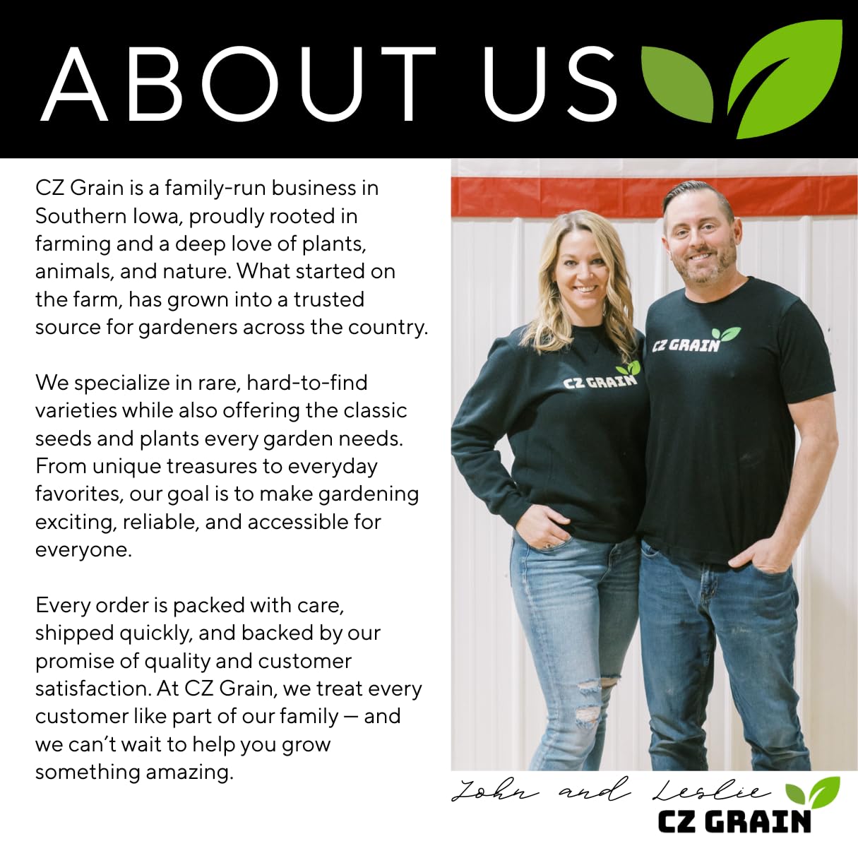 24 Jumbo Hybrid Willow Tree Cuttings - Approx 10 inches Tall, 5/8 in- 1+ Inch Thick Root Stock - Fast Privacy Shade Trees - Easy to Grow