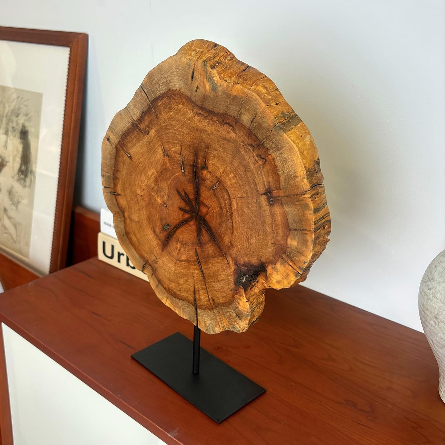 DONZIKLE Natural Live Edge Wood Sculptures Home Decor, Irregular Abstract Jujube Tree Root Wooden Statues for Table Top Decor, Decorative Root Carving Ornament (Medium)