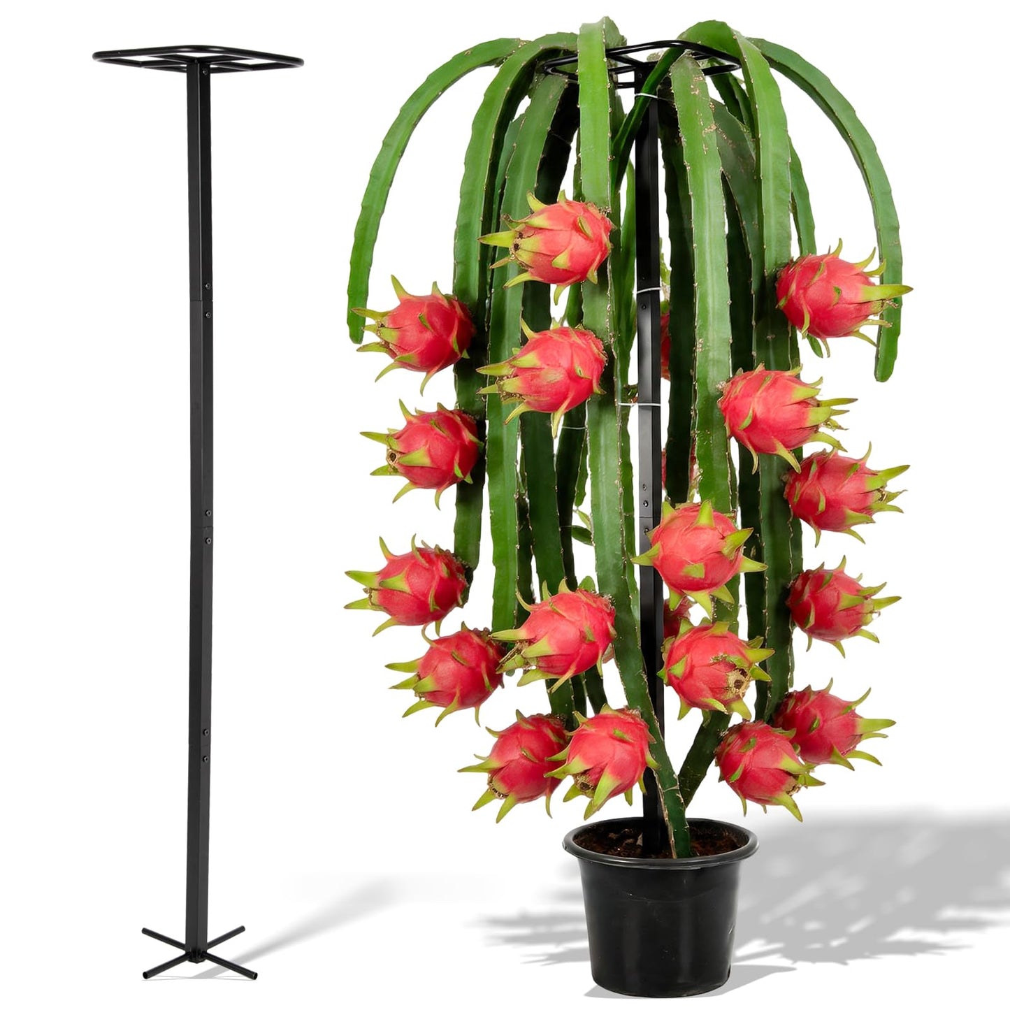 GOOOXIM 63" Metal Dragon Fruit Trellis – Durable Outdoor Garden Support for Climbing Plants, Easy Assembly Vertical Structure, Ideal for Dragon Fruit Growers