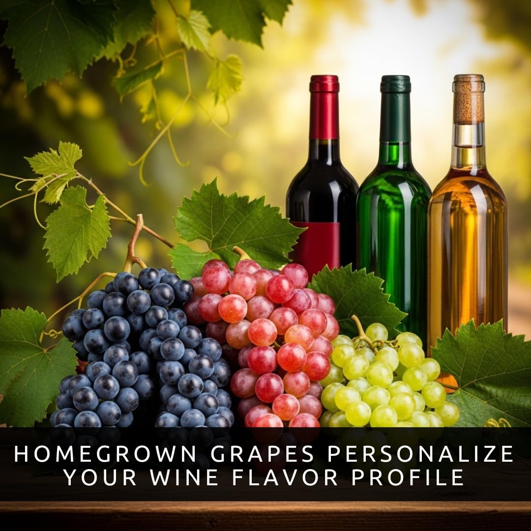Grape Growers Plants Kit - 3 Live Grape Plants – Red, Green & Concord Varieties – Healthy Fruit Vines – Ready to Plant – Grow Sweet Table Grapes at Home - Ship Bare Root