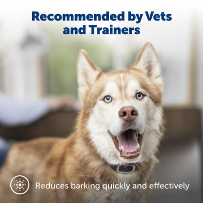 PetSafe Bark Control Collar, Waterproof Basic Bark Control Collar for Small Medium or Large Dogs 8 lb. and Up, Anti-Bark Static Correction Training Device for Canines