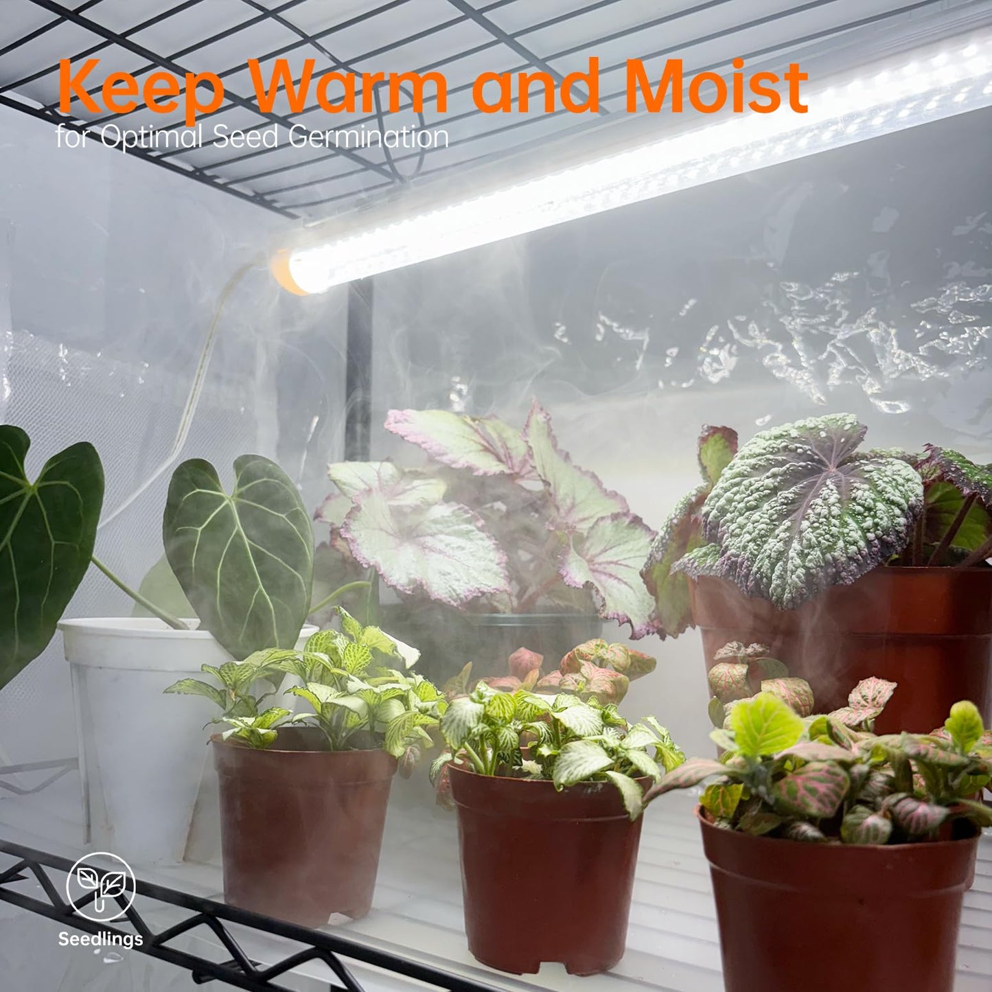 Bstrip Indoor Greenhouse with Grow Light, Mini Green House with 4 Pack T8 Full Spectrum Plant Lights with Timer, Indoor Greenhouse Cabinet for Indoor Plant, Seed Starting, Seed Tray, 29.5"x13.8"x59"