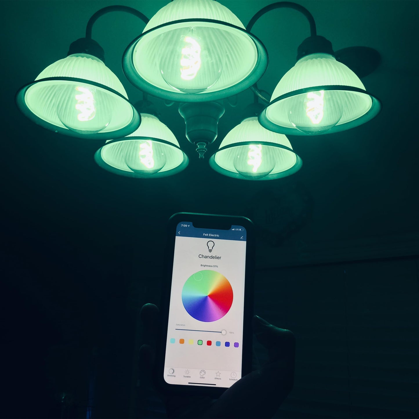 Feit Electric Smart Light Bulbs, 2.4Ghz WiFi Light Bulbs, No Hub Needed, Works with Alexa and Google, Dimmable 60 Watt = LED 9W, OM60/950CA/AG/3, 5000K Day Light, 3 Pack