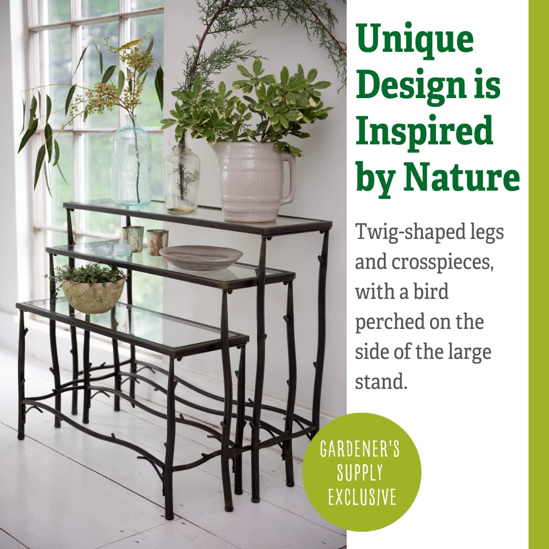 Gardener's Supply Company 3 Tier Plant Stand | Decorative Metal & Tempered Glass Ladder Shelf | Best For Living Room, Patio & Balcony