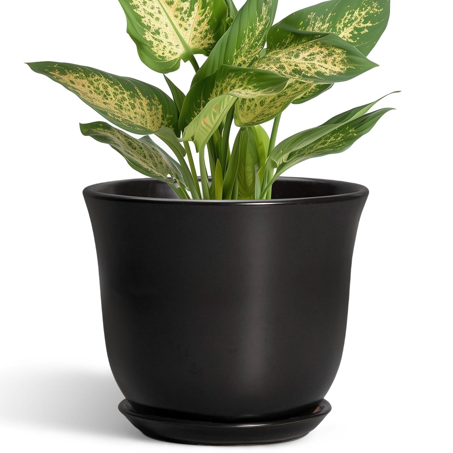 SUNPOTFOR Ceramic Planter - 5.6 Inch Plant Pot for Indoor Outdoor, Round Succulent Pots with Drainage Hole and Saucer, Orchid Flower Pot, Modern Planter, Home Office Decor, House Warming Gifts, Black
