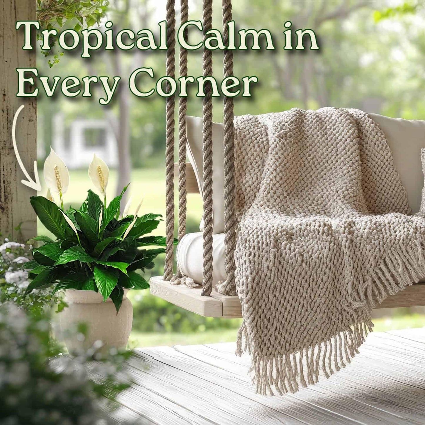 Spathiphyllum Peace Lily - Flowering Foliage Plant - 3 Gallon Planter - Overall Height 24" to 28" - Tropical Plants of Florida (Plant in Growers Pot)