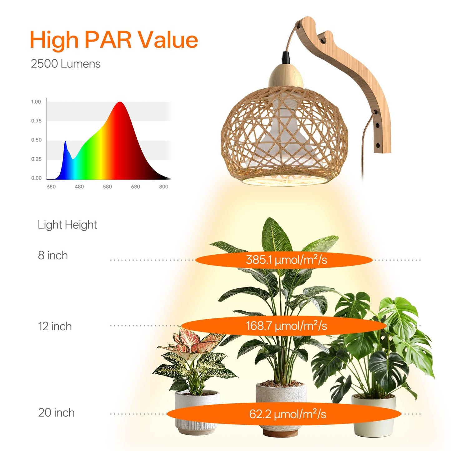 Bstrip Hanging Grow Lights for Indoor Plants, 18W Full Spectrum Plant Light, Boho Rattan Lantern Shade, 3800K Wall-Mounted Decorative Grow Light with 9.8FT Power Cord for Indoor Plant Growing, Flowers