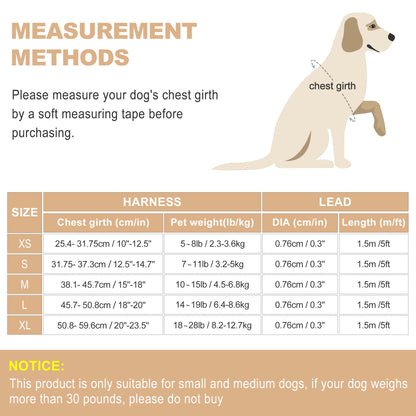 haapaw Dog Harness and Lead Set, No Pull Adjustable Reflective Step-in Puppy Harness with Thickened Padded Vest for Extra-Small/Small Medium Dogs