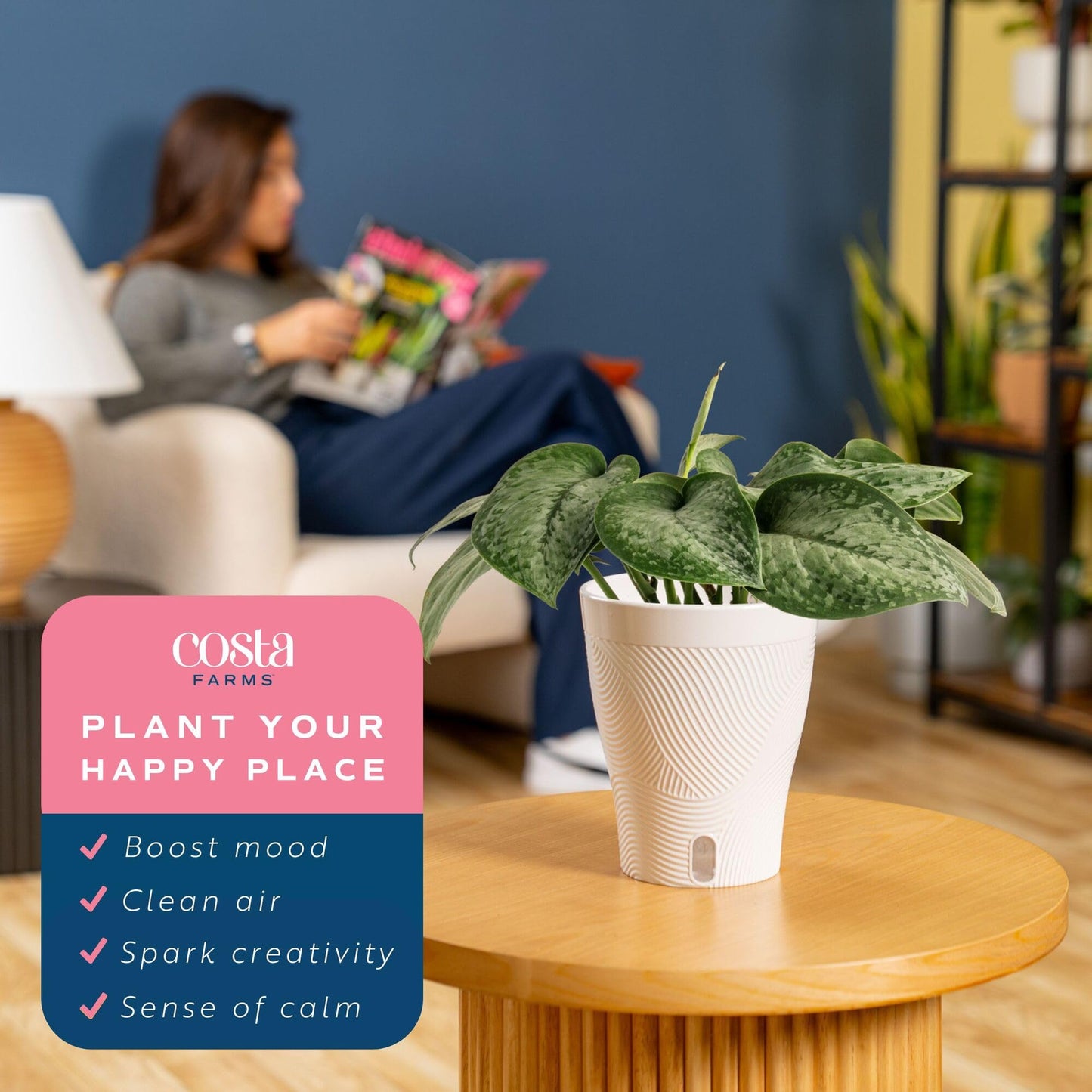 Costa Farms Scindapsus Mount Salak Live Indoor Plant, Rare Silver Satin Pothos Variety in Self-Watering Decor Pot, 12-16 Inches Tall, Easy Care Low Light Vining Houseplant, Gift for Home or Office