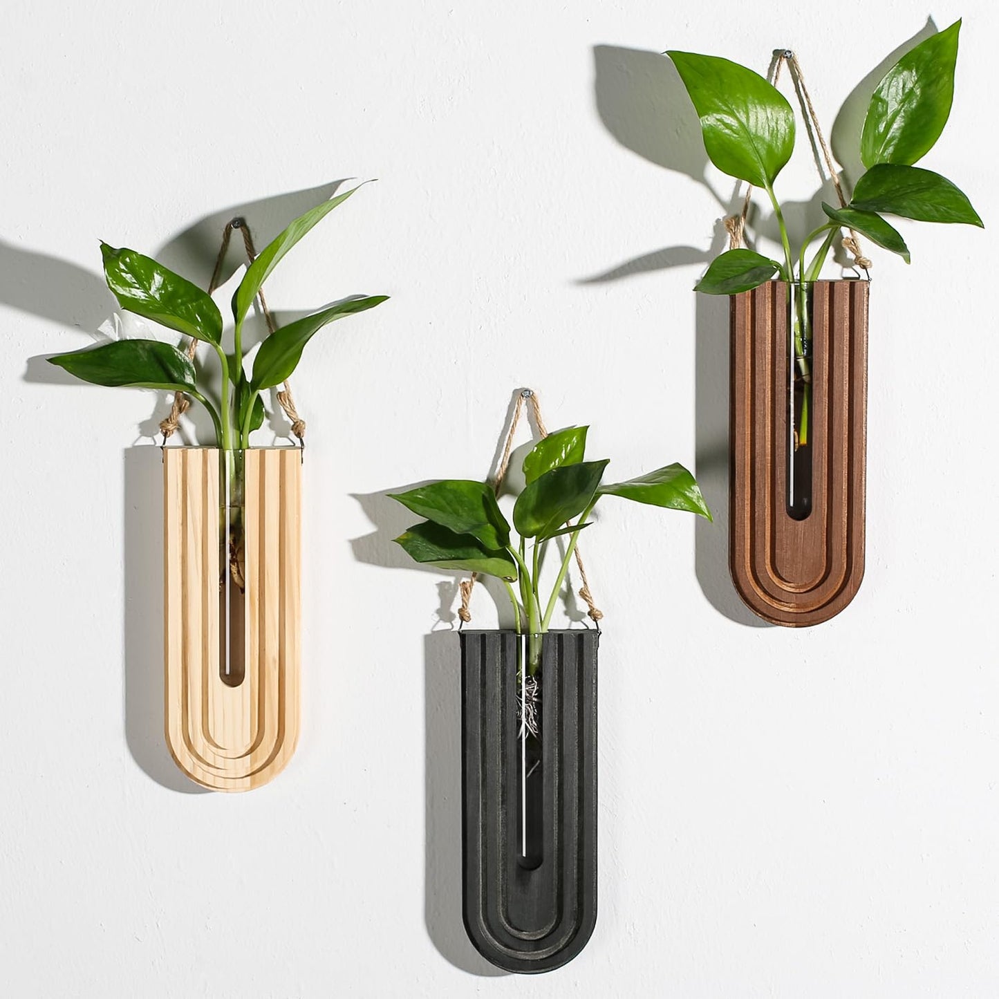 Dnnnii Indoor Wood Wall Planter Set of 3 for Plants - Boho Handmade Hanging Propagation Station with Curved Rainbow Design, Wall Mounted Vase for Flowers, Natural Home Decor Living Room Entryway