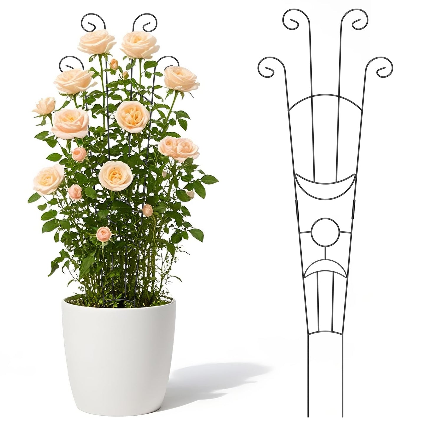 2 Pack 32.6'' Taller Plant Trellis for Climbing Plants Indoors & Outdoor, Garden Metal Trellis Plant Support for Potted Plants, Houseplants, Flowers Vine, Ivy, Pothos, Monstera