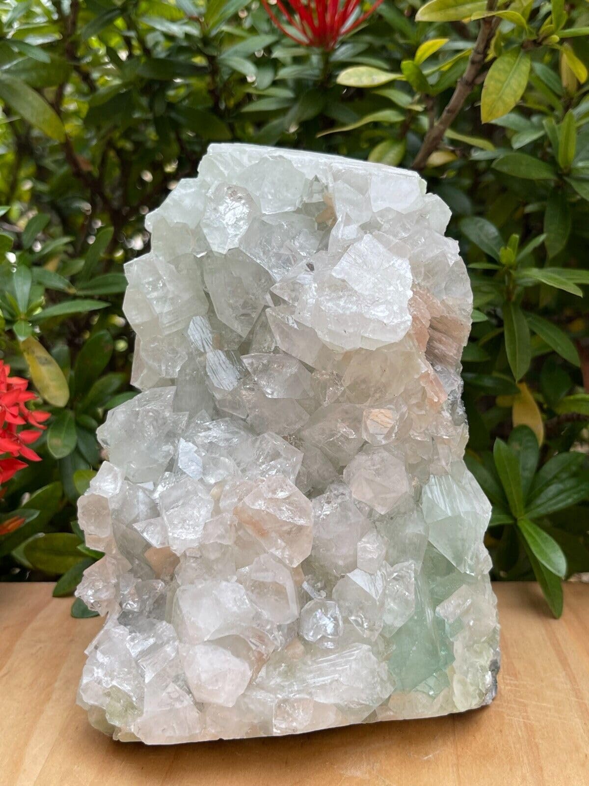 GAF TREASURES Apophyllite Cluster Geode Free Standing | Natural Apophyllite Crystal Display Piece | 0.5–9 lbs | Healing, Decor & Collectible Mineral