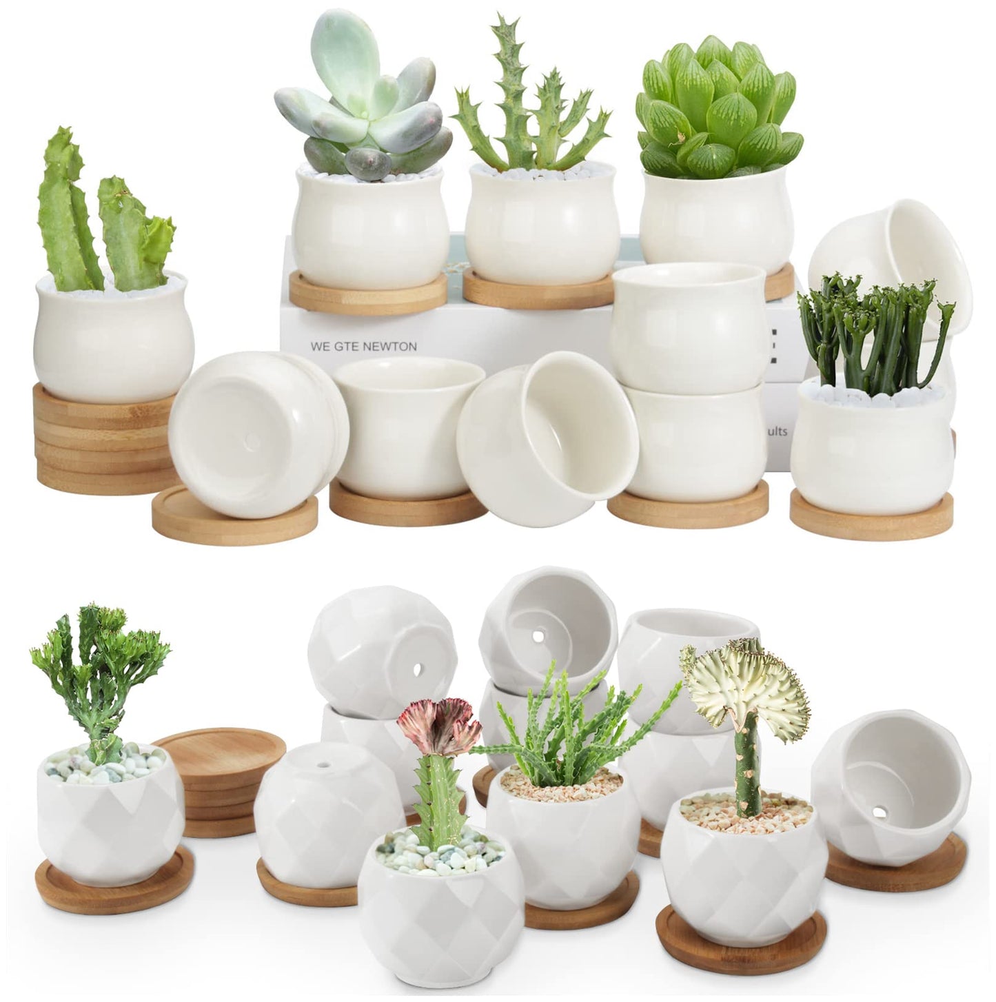 ZOUTOG 12 Pack Succulent Pots, 2.5 Inch White Mini Ceramic Planters with Drainage Hole, 2.5 inch Square Pattern Ceramic Planters, Plants Not Included