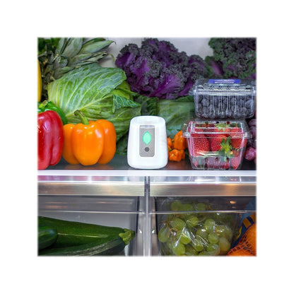 Greentech Environmental pureAir FRIDGE - Refrigerator Odor Eliminator and Air Freshener - Extends Life of Food - Home Essentials For Mini, Small, and Large Fridges