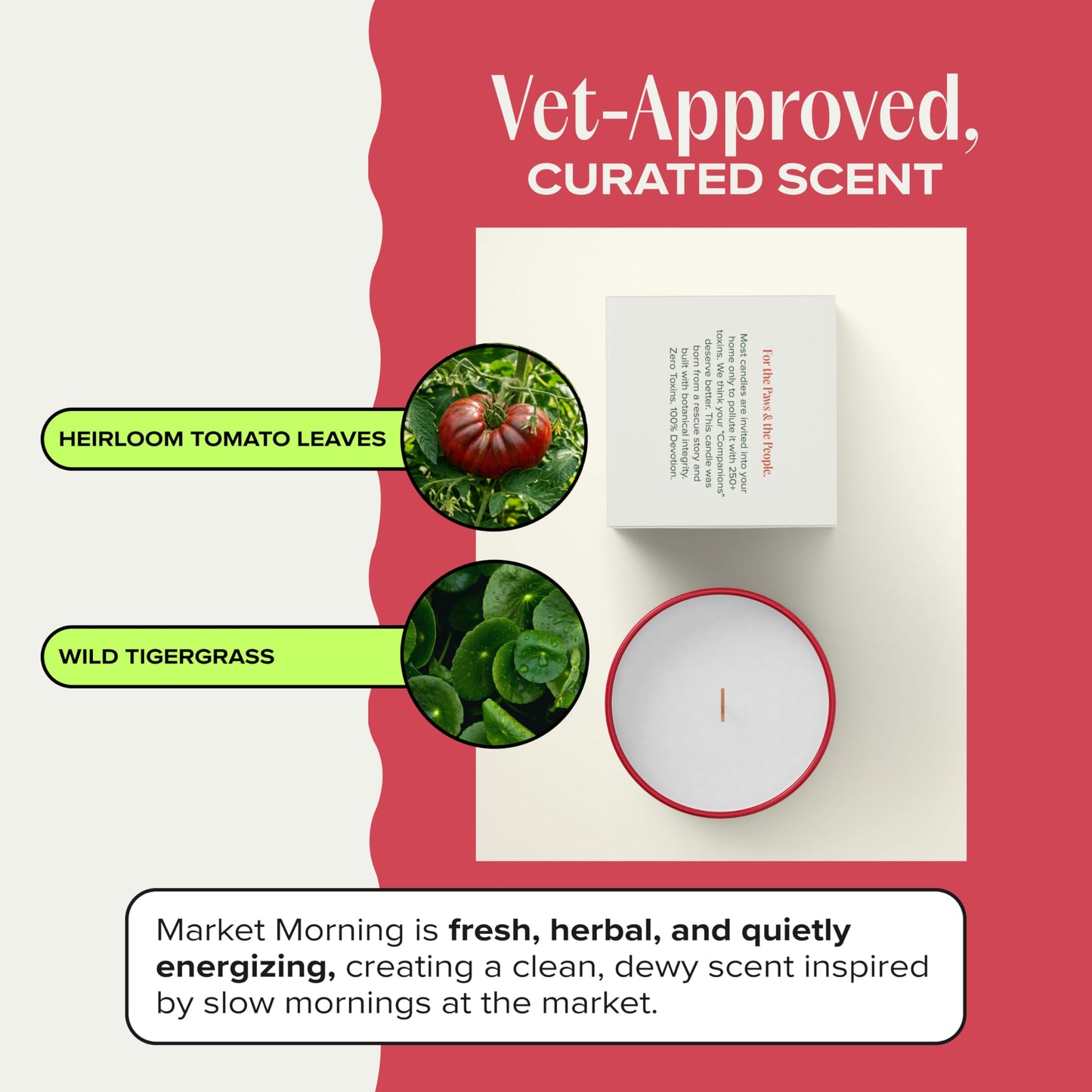 Companion Candles Market Morning Pet Friendly Candle - Heirloom Tomato & Tigergrass - Coconut Soy Wax Non Toxic Candle with Wood Wick, Pet Odor Eliminator, 50hr Burn, Made in USA, 11.8oz
