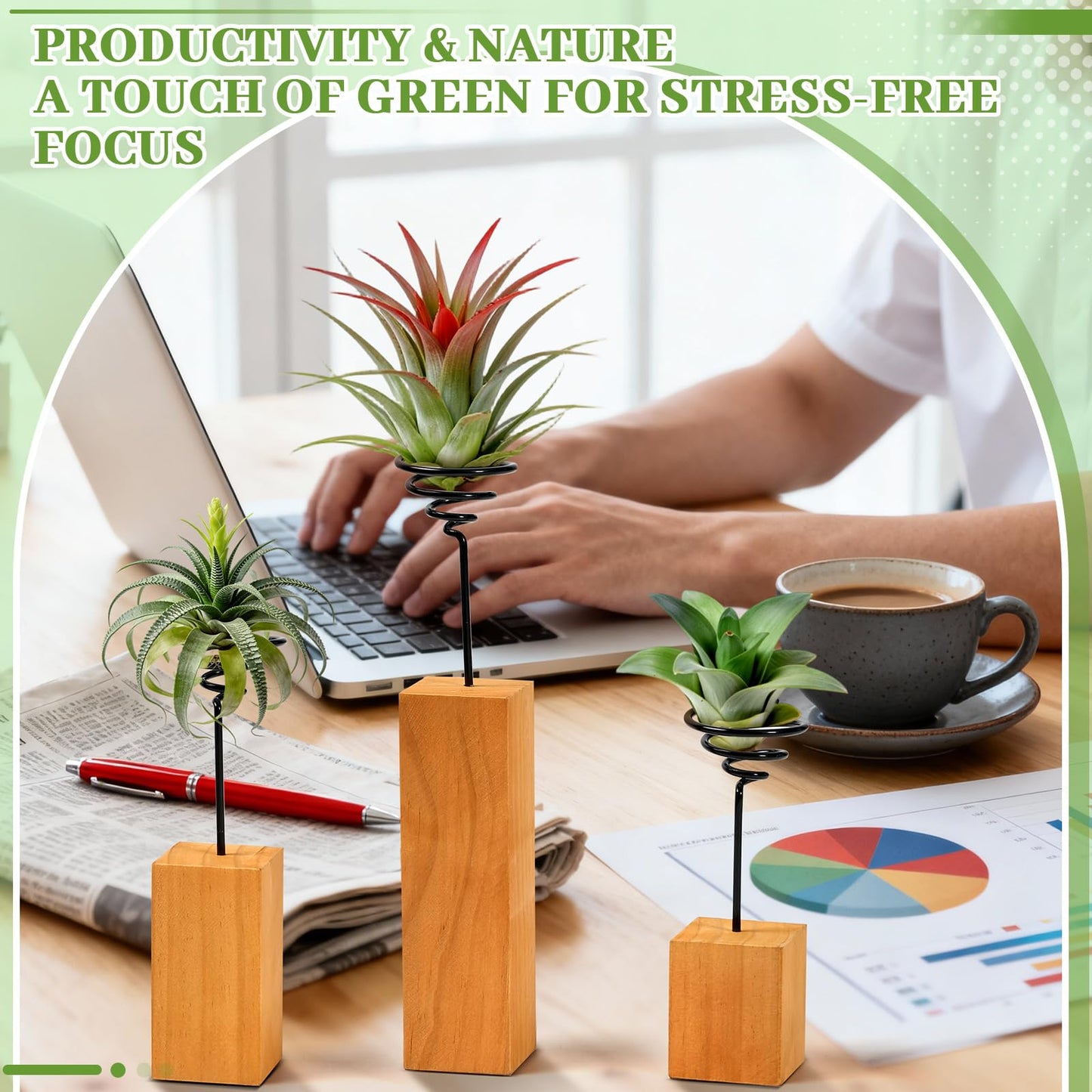 ARQRHTLY 3 Pack Air Plant Holder with Wooden Base, Metal Spiral Tillandsia Stands for Desktop Shelf Display, Decorative 3 Sizes Air Plant Holder for Home Office and Housewarming Gift