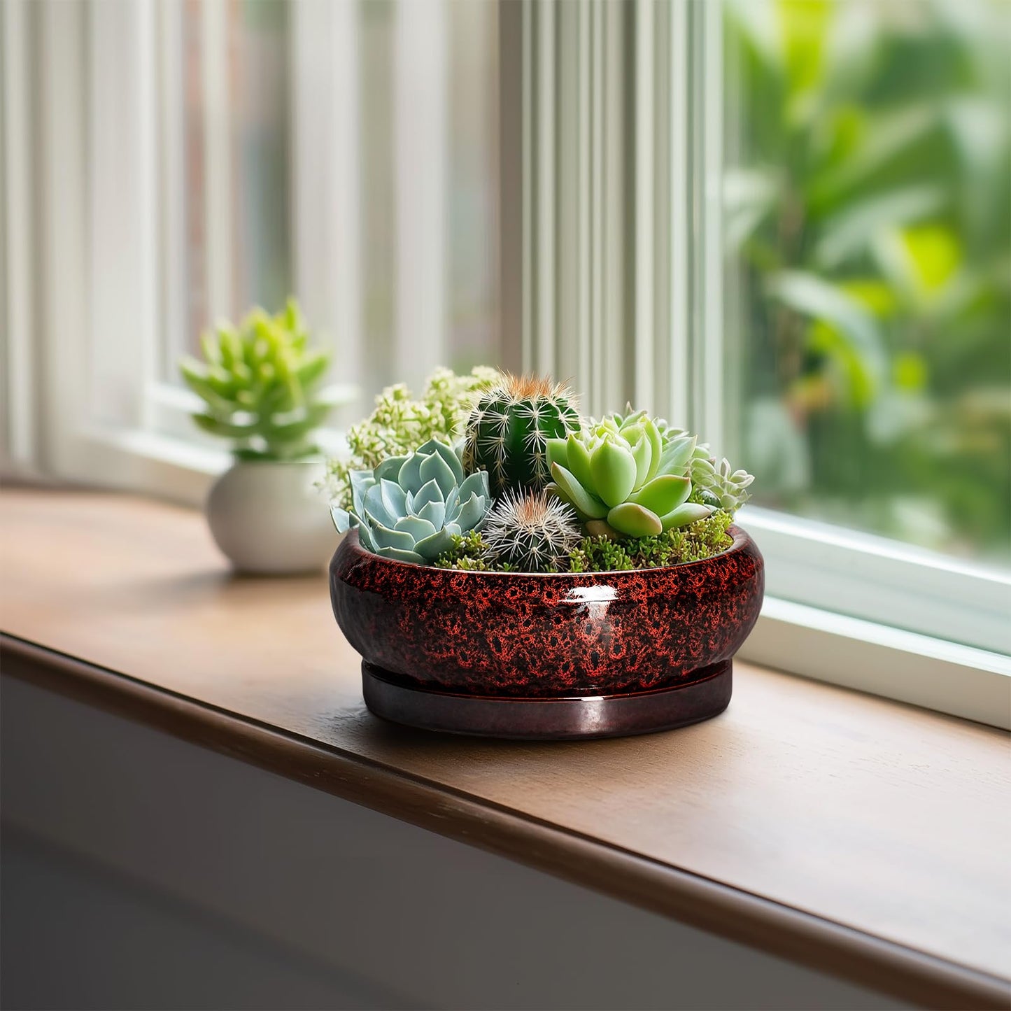 EPFamily Succulent Planters 6 Inch - Ceramic Bonsai Pots with Drainage Hole and Saucer, Small Bonsai Planter, Round Planter Bowl, Shallow Plant Pots Indoor, Room Decor, Gifts for Plant Lovers, Red