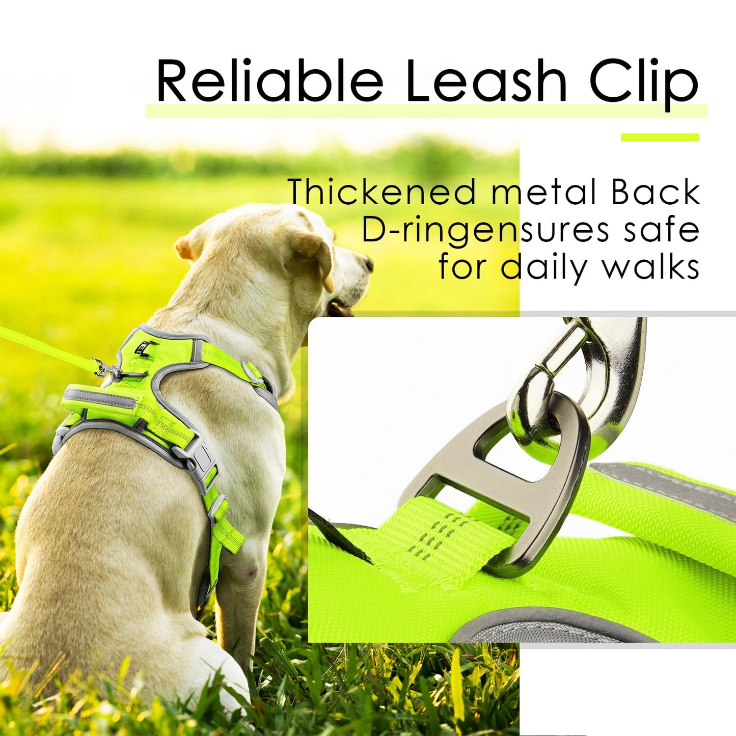 ThinkPet No Pull Harness Set Breathable Sport Harness with Handle - Reflective Padded Dog Safety Vest with Reflective Neon Dog Leash M Harness Leash Pack Green
