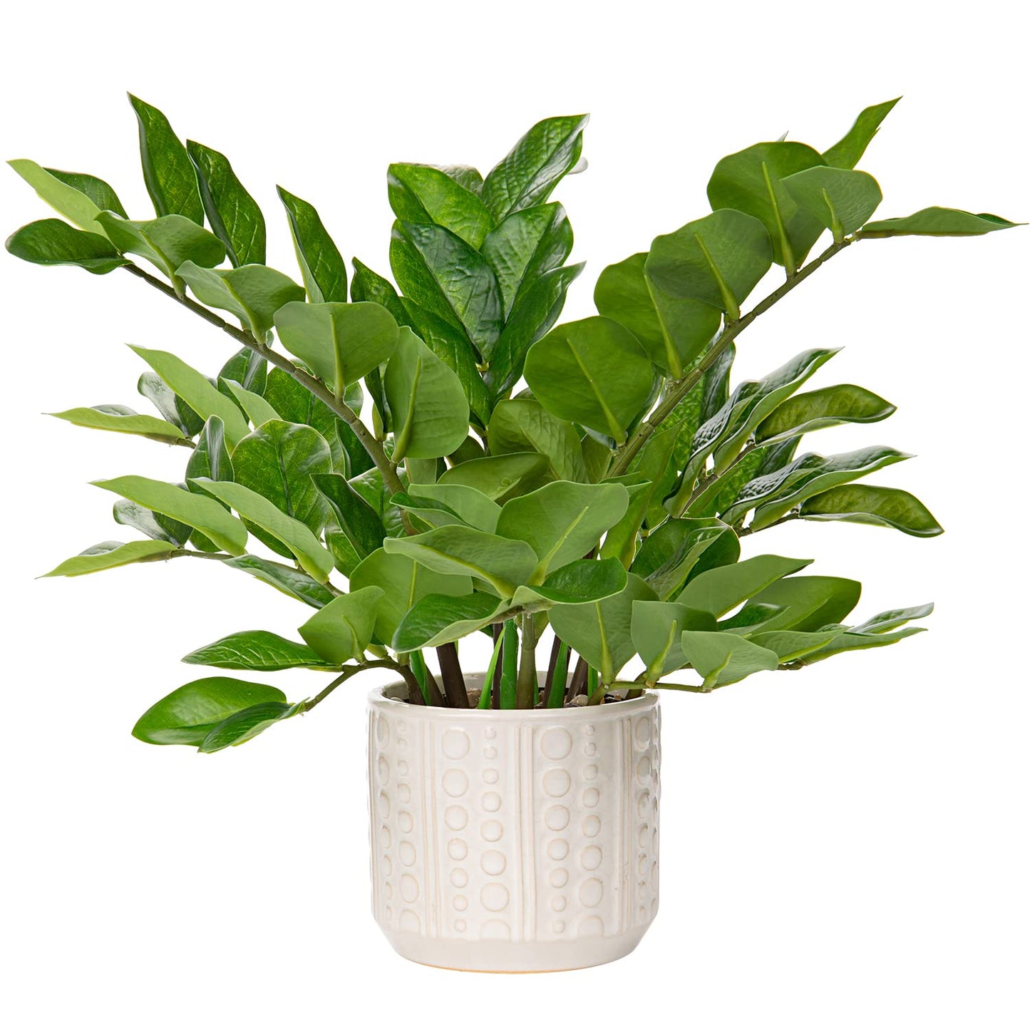 Briful Faux Plants Indoor 17" Artificial ZZ Plants in Ceramic Pot Fake Potted Zamioculcas Silk Plants for Home Table Decor Bedroom Aesthetic (1Pack)