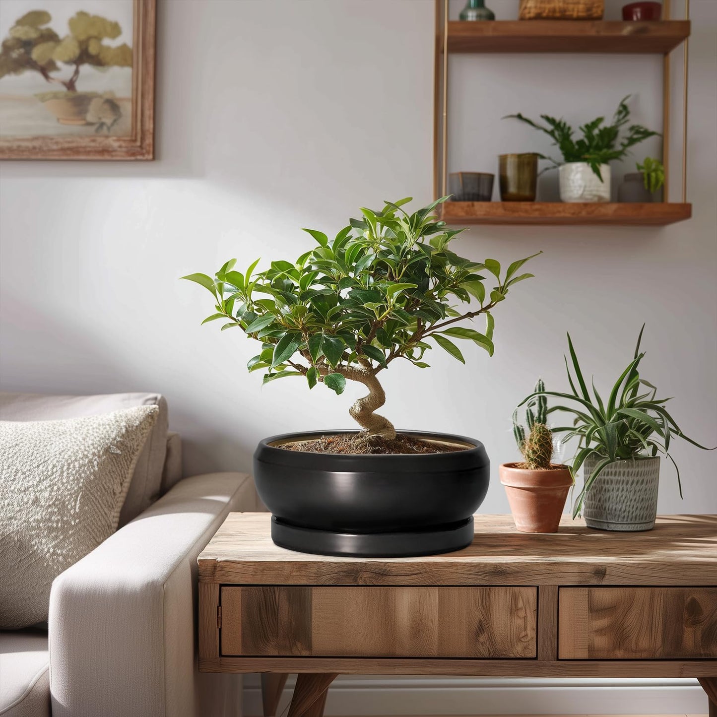 EPFamily Succulent Planters 8 Inch - Ceramic Bonsai Pots for Indoor Outdoor, Round Succulent Pots with Drainage Hole and Saucer, Modern Shallow Planter Bowl, Garden Home Decor, Birthday Gifts, Black
