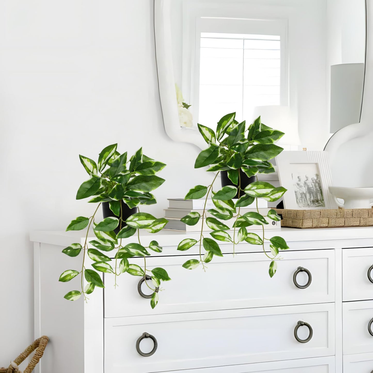 Briful Small Fake Plants Indoor (Set of 2) Realistic Faux Trailing Plant Artificial Potted Plants in Black Pot White N' Joy Leaf Houseplant for Living Room Table Kitchen Counter Shelf