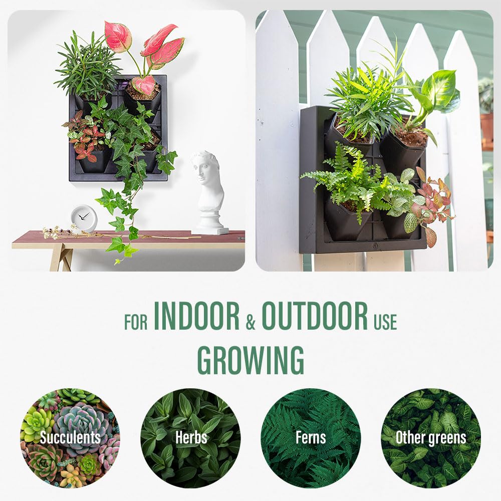 Inspiration Jungle Self Watering Wall Planter with 4 Pots - Easy to Create Indoor Living Wall for Home, Office and Shop Front - Includes Water Gauge (Black)