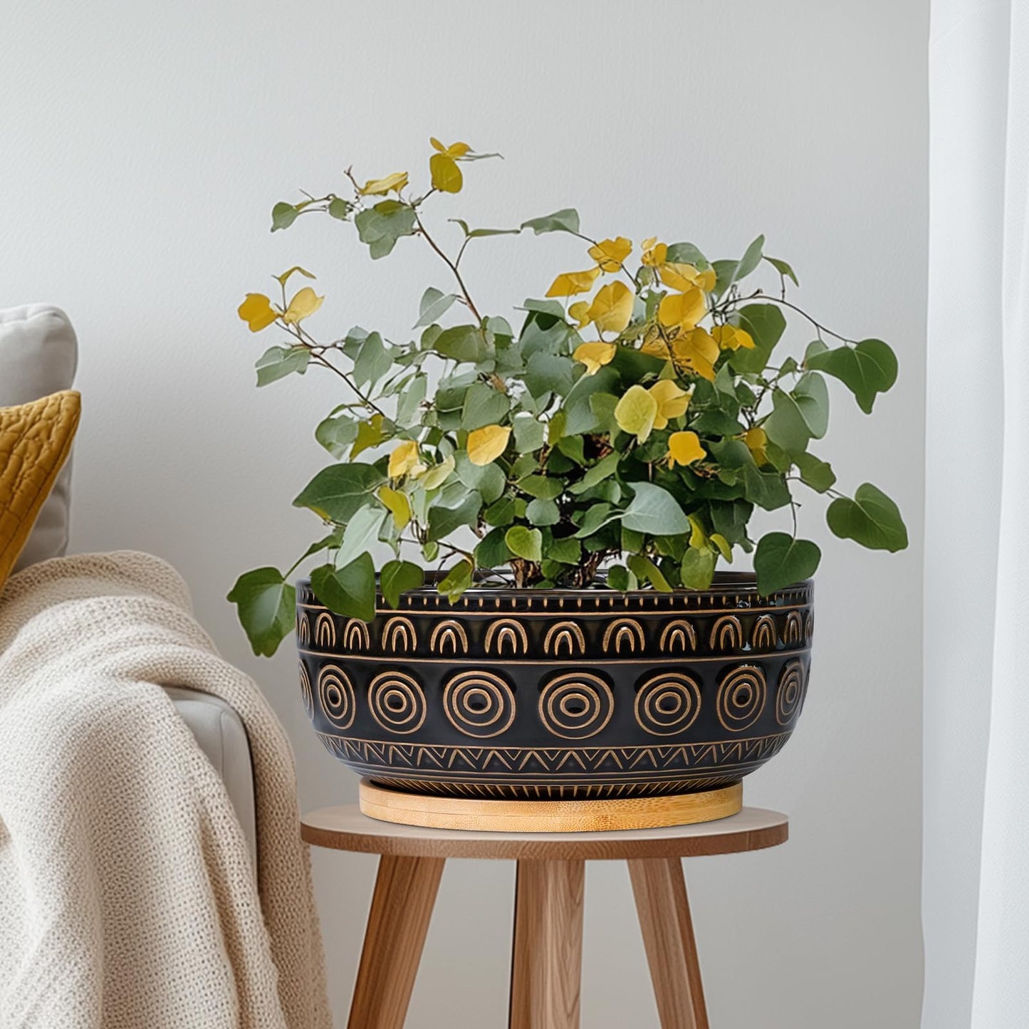 Eightpot Ceramic Bonsai Pots - 8 Inch Plant Pot for Succulent, Round Planter for Indoor Plants, Shallow Planters with Drainage Hole and Tray, Boho Bonsai Bowl, Living Room Decor, Black