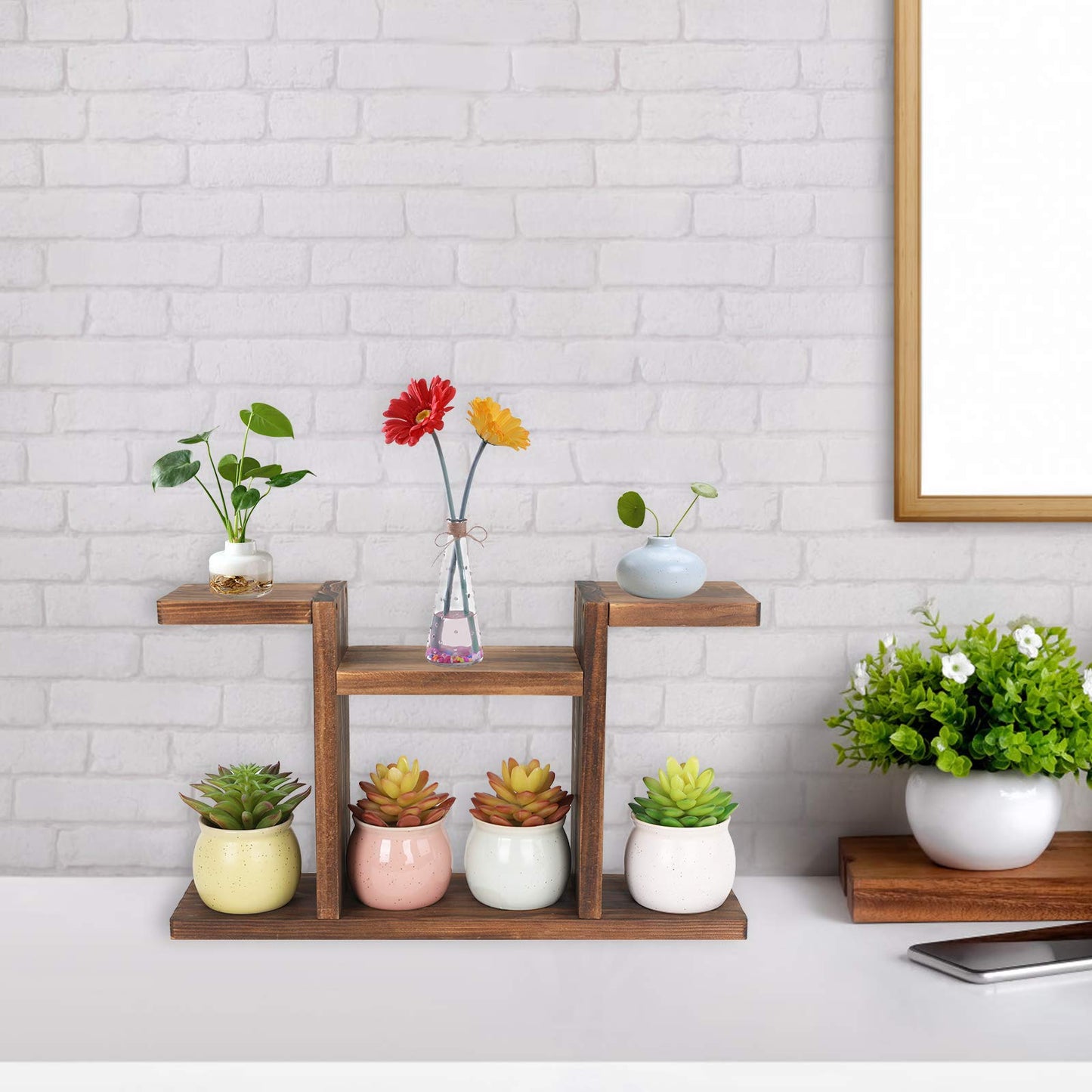 COOGOU Wood Desktop Plant Stand Indoor - Windowsill Plant Shelf Small Tabletop Plant Holder, Flower Display Rack for Succulent Herb in Living Room Office 6 Tiers