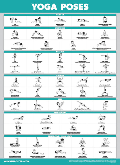 4 Pack - Pilates Workout Volume 1 & 2 + Yoga Poses Volume 1 & 2 - Exercise Poster Set (18 x 24, LAMINATED)