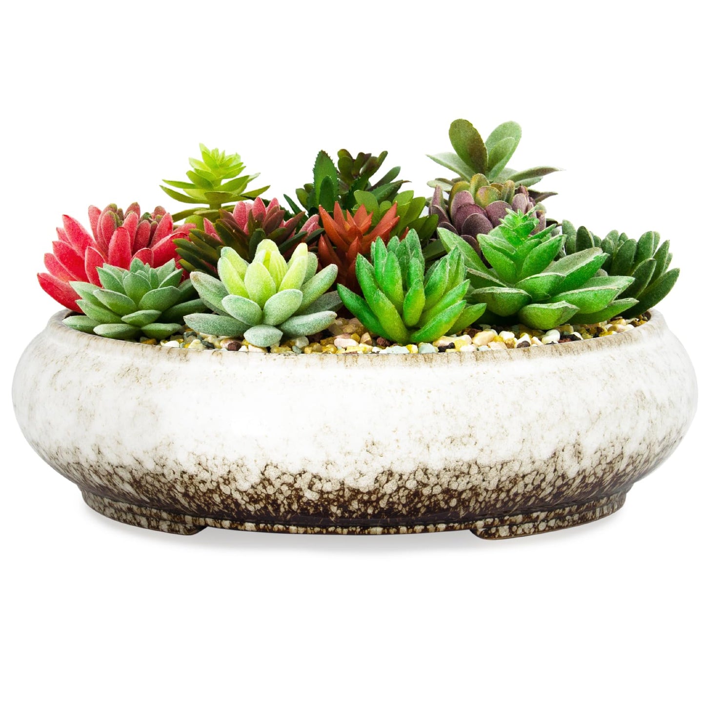 Succulent Pots - 11.5 Inch Ceramic Bonsai Pots with Drainage, Large Shallow Succulent Planters for Indoor Outdoor Plants, Round Glazed Cactus Flower Plant Container Bowl Home Desk Decor(White)