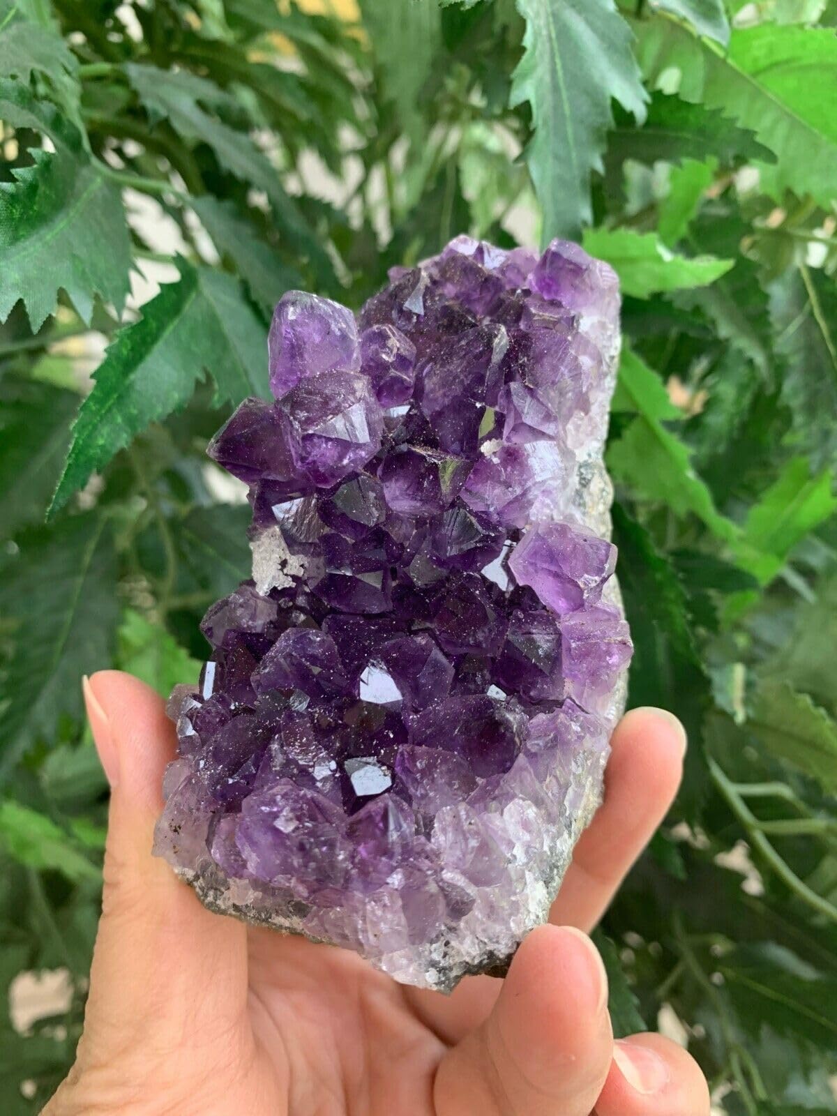 GAF TREASURES Deep Purple Amethyst Cluster, Natural Amethyst Geode, Amethyst Druze, Raw Amethyst Crystal (0.5-1 lb)