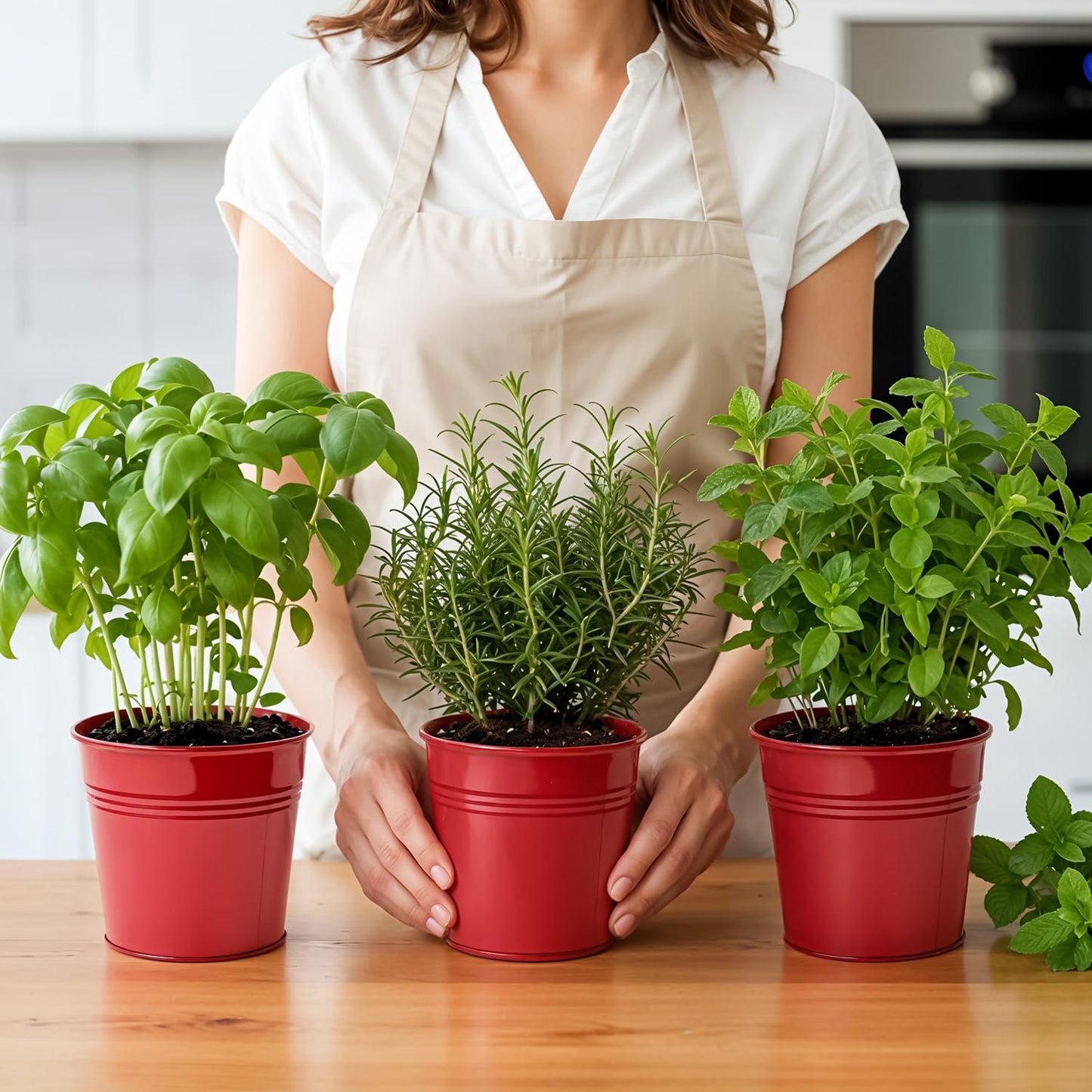 Plexon Herb Planter Indoor Garden Set of 3 with Tray, Metal Herb Pots for Indoor Plants, Round Kitchen Garden Kit Ideal for Windowsill Planter or Countertop, Red Powder Coated