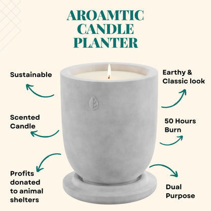 Matani Concrete Cement Candle Planter - Aromatherapy Soy, Dual Purpose Jar - Grey Lavender