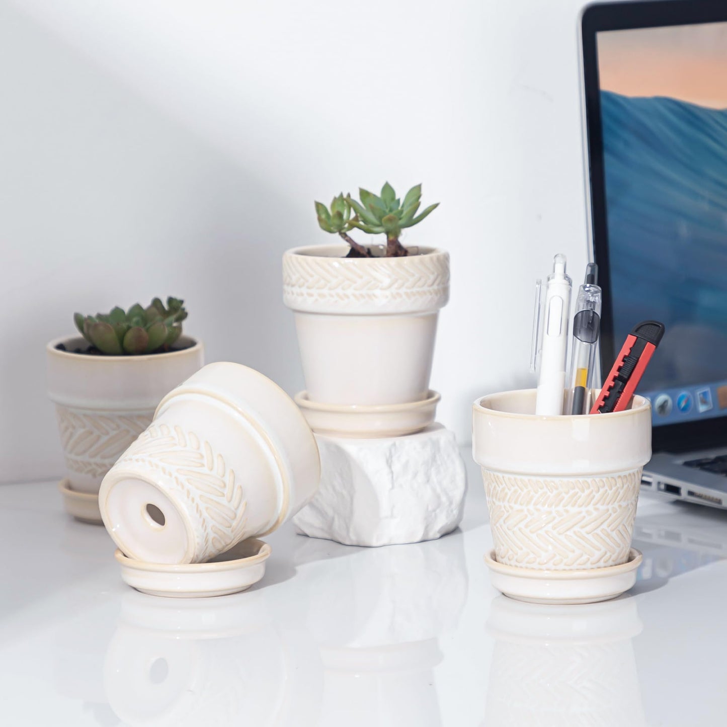 Fayoula Succulent pots,Indoor Small Succulent Bonsai,3 Inch Mini Ceramic Succulent Pots with Saucer and Drainage Hole, Decorative Planter for Succulent, Cactus, Set of 4.