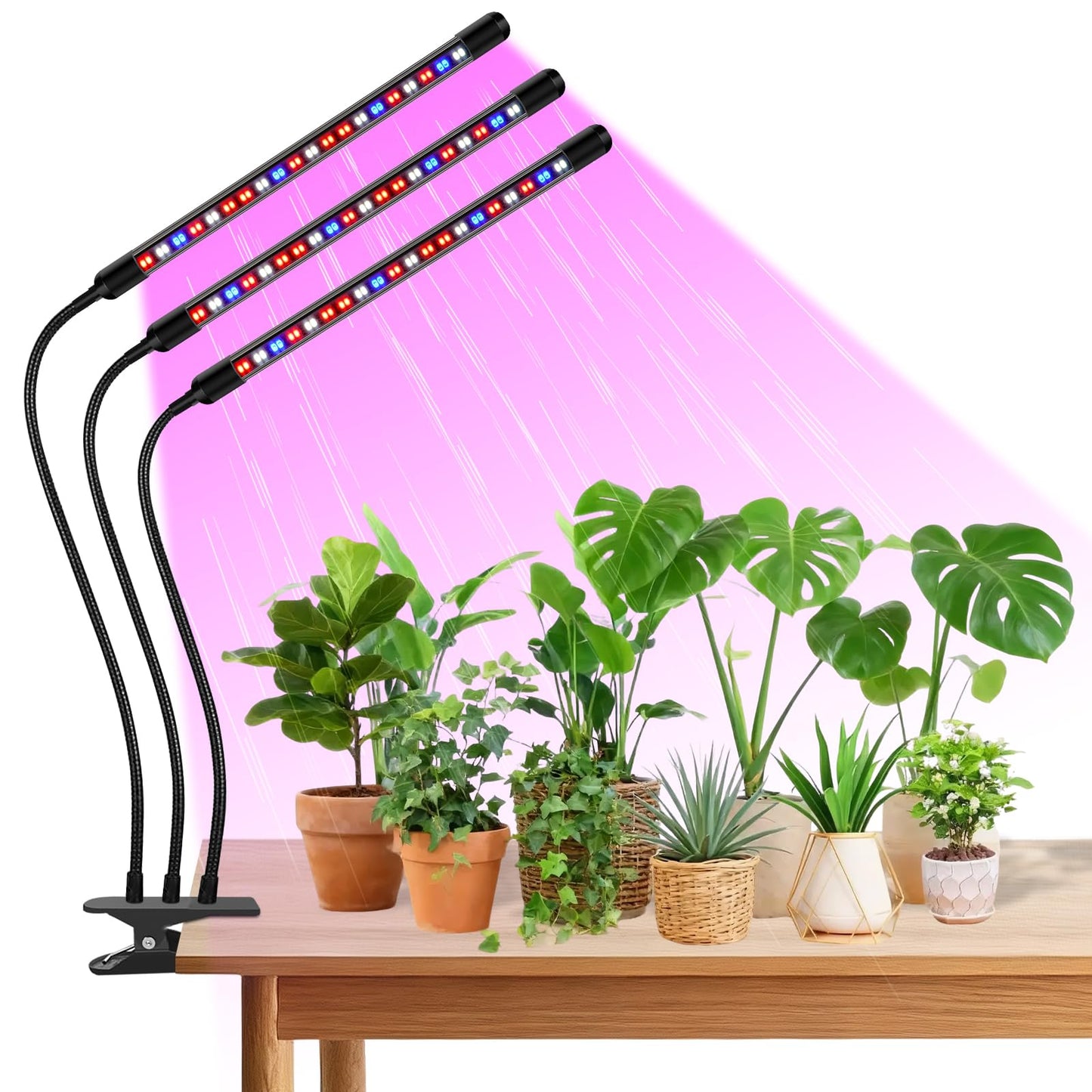 SDOVUERC Tri-Head Clip Grow Light for Indoor Plants, Full Spectrum with 6/12/18H Timer, 5 Dimmable Levels, 3 Spectrum Modes & 360° Gooseneck for Seedlings, Houseplants, Succulents
