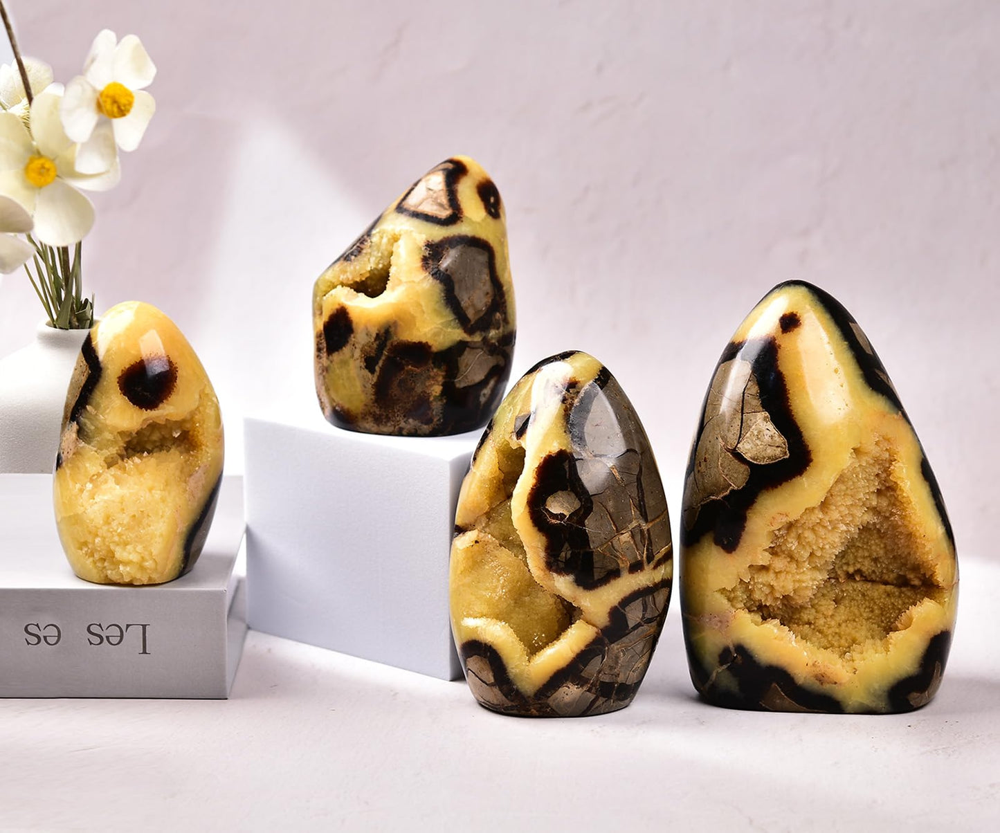 MOGEMT Septarian Geode Rock Healing Crystal Cluster Septarium Irregular Home Decoration Specimen Large 1-1.5 Lbs