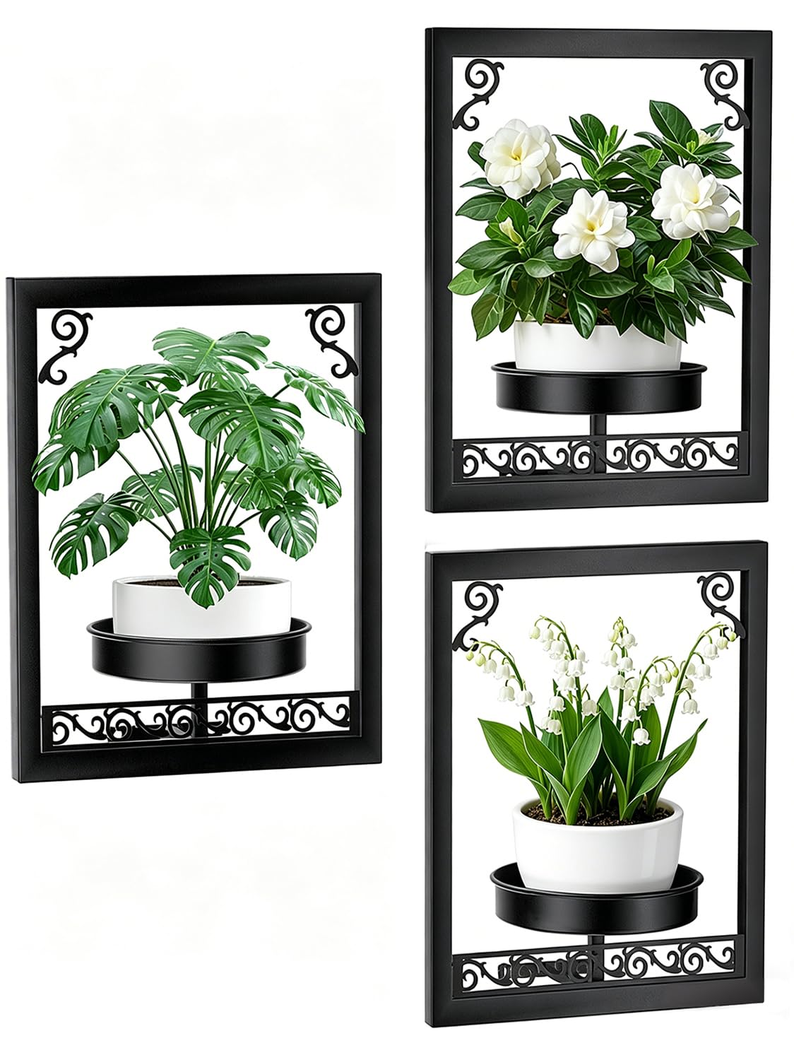 WGFKVAS Wall Plant Holder Set of 3, Picture Frame Plant Holder, Rustproof Holder Metal Modern Style Home Gardening Wall Decor for Living Room Bedroom, Entryway, Black
