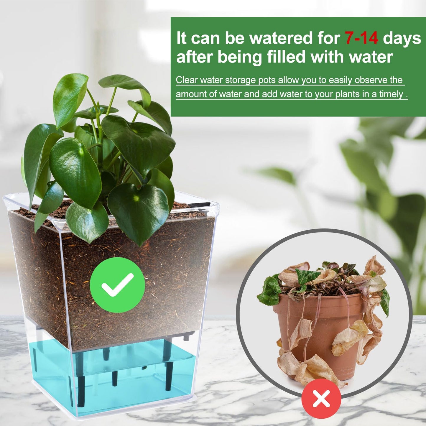 IWNTWY Self Watering Pots Set, 3 Pack 5/4.1/2.7 Inch Self Watering Pot for Indoor Plants, Clear Flowers Pot Planter with Deep Reservoir for Spider Plant, Orchid, African Violet