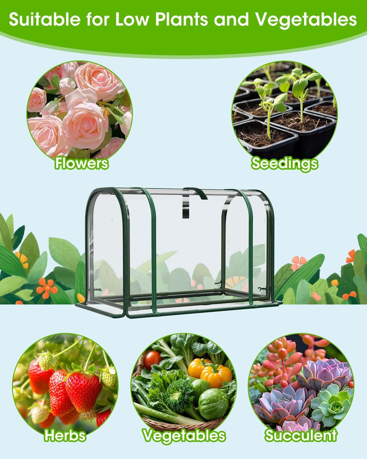 MQJIAZHI Mini Greenhouse Indoor Outdoor, 23.6*16.2*12.2 Inch Portable Tabletop Plant Greenhouse for Plant Growth and Seedling Propagation, Small Greenhouses for Garden Balcony Windowsill Home Use
